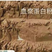 Изготовители добавок питания птицы распыляют - высушенный порошок протеина плазмы утки, предварительный технологический прочесс, немедленное Hig