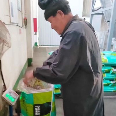 порошок еды крови добавок собачьей еды питания птицы 30kg здоровый